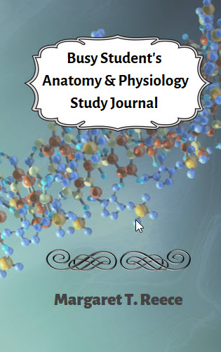 How to organize your study plan for anatomy and physiology