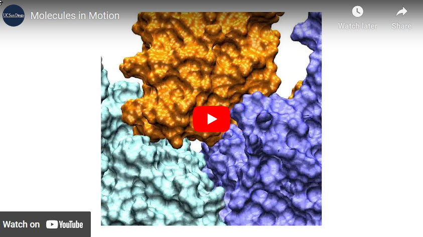 Watching molecules dance