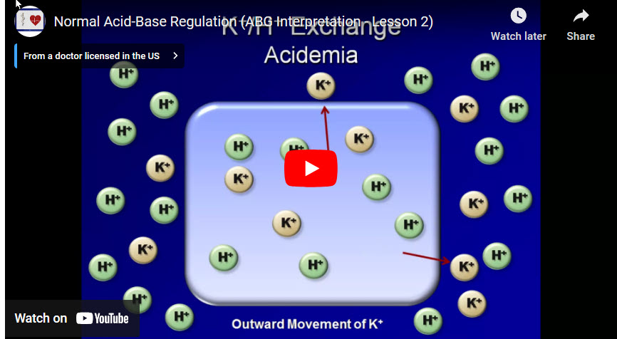 Kidney regulation of p plasma ions